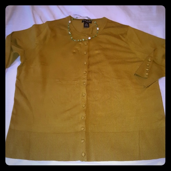 Audrey & Grace Sweaters - 🍁Button down sweater🍁